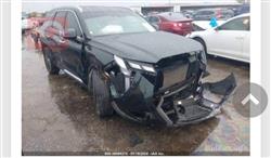 هیوندای پالیسەید